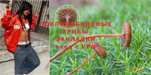 мдпв Алзамай
