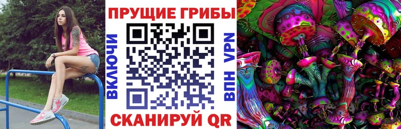 блэк спрут сайт  Сунжа  сайты даркнета как зайти  Галлюциногенные грибы Cubensis 