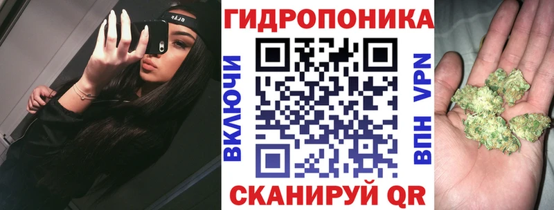 Канабис Ganja  где продают   Сунжа 